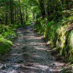 Molveno, Steig, Wanderweg, sentiero