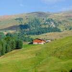 Alm, Cisles, Gardena, Goeden, Gröden, Grödental, Grödner Tal, Grödnertal, Matte, Val Gardena, Valgardena, Weide