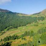 Alm, Cisles, Gardena, Goeden, Gröden, Grödental, Grödner Tal, Grödnertal, Matte, Val Gardena, Valgardena, Weide