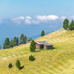 Gardena, Goeden, Gröden, Grödental, Grödner Tal, Grödnertal, Pic, Seurasas, Val Gardena, Valgardena