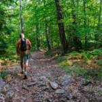Andreas, Dossi di Segonzano, E5, Europäischer Fernwanderweg, Europäischer Höhenwanderweg, Europäischer Höhenweg, Europäischer Wanderweg, TN, Trentino, Wald, wandern