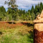 Alpini, Alpinihut, Bait de la Busa, Cembra, Farben, Golden, Herbst, Hochmoor, Hut, Kopfbedeckung, Rot, TN, Trentino, autumn, autunno, colori, colors, colours