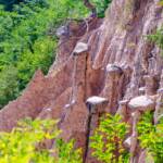 Erde, Erdpyramide, Erdpyramiden, Erdpyramiden di Segonzano, Hut, Kopfbedeckung, Pyramiden, Segonzano, Sehenswürdigkeit, TN, Trentino, piramidi, piramidi di terra