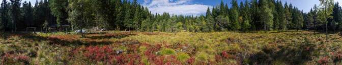 Auf dem Hochmoor Piano Busa bei der Bait de la Busa.