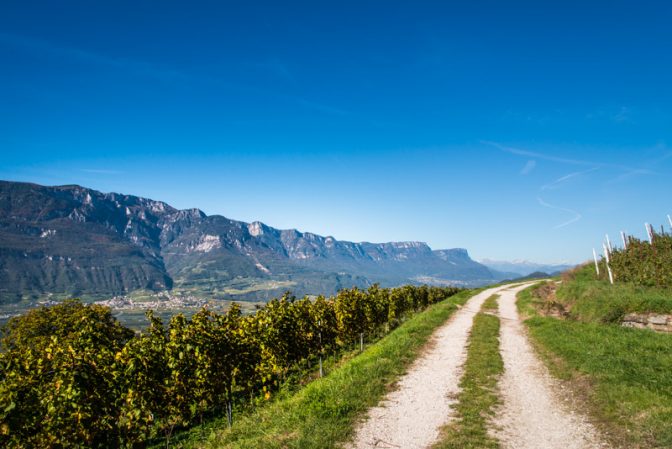 Die Bahntrasser der ehemaligen Fleimstalbahn ist ein idealer Spazierweg und Mountainbikeweg Die Bahntrasser der ehemaligen Fleimstalbahn ist ein idealer Spazierweg und Mountainbikeweg