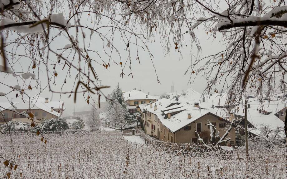 Winterwanderung Kurtatsch