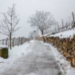 Winterwanderung Kurtatsch, Kurtatsch, Mariahilfsstraße, Schnee, Winter, inverno, weiße Jahreszeit, winter