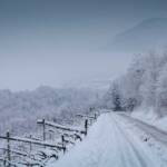 Winterwanderung Penon/Kurtatsch, Schnee, Winter, Winterlandschaft, inverno, weiß, weiße Jahreszeit, winter