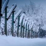 Winterwanderung Penon/Kurtatsch, Pergel, Pergeln, Schnee, Winter, Winterlandschaft, inverno, weiß, weiße Jahreszeit, winter