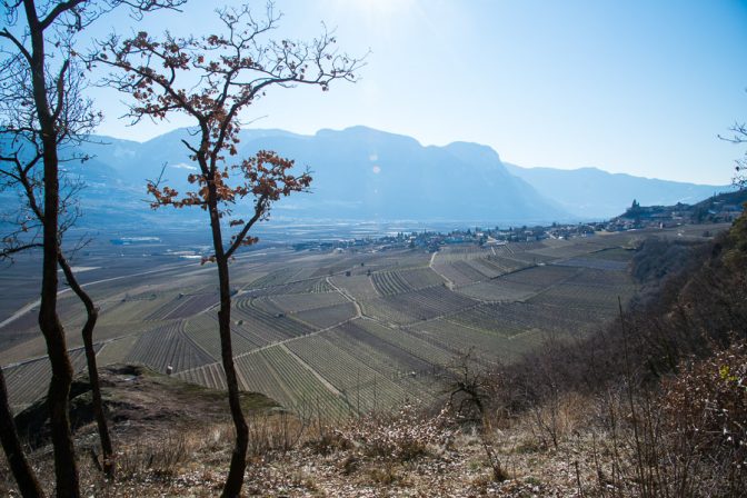 Blick ins Südtiroler Unterland nach Tramin; im Vordergrund der große Porphyrstein.