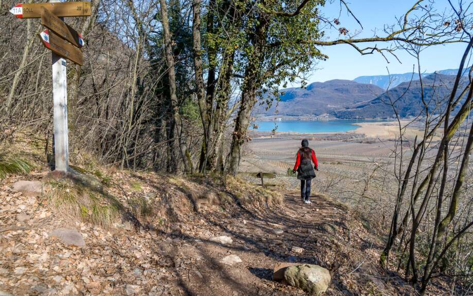 Kalterer Seeweg Tramin-Kalterer See