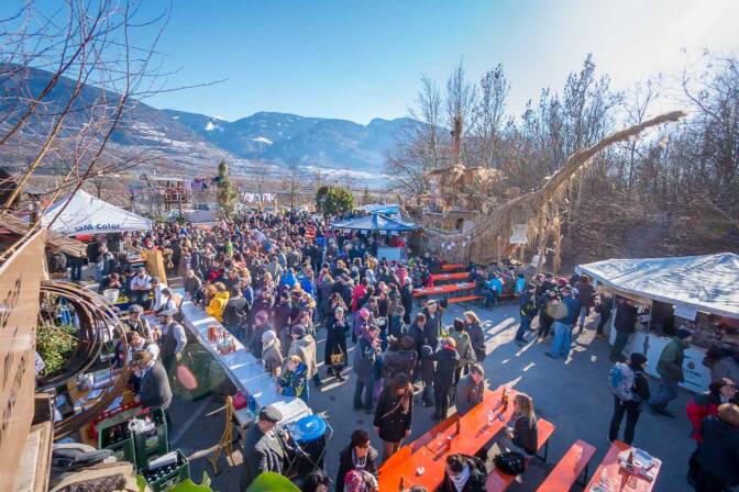 Am Sonntag vor dem großen Umzug: die Egetmann Faschingswagenschau