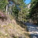 Saumpfad Limone – cima Mughera – Baita Segala, Pfad, Saumpfad, Sentiero Antonioli, Valle del Singol, Weg, cammino, gepflastert, path, way