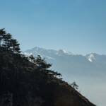 Gardaseeberge – Wanderung Limone – cima Mughera – Baita Segala, Baum, Bäume, Gardaseeberge, Lago di Garda, Silhouette, albero, tree