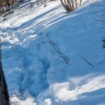 Wanderung Limone – cima Mughera – Baita Segala, Schneespuren, Spur, Spuren