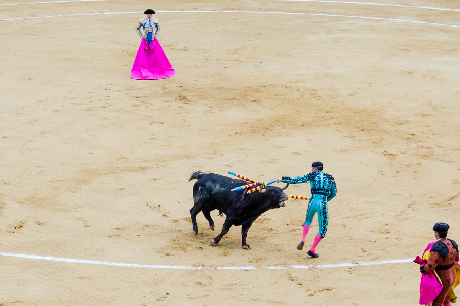 Stierkampf in Valencia