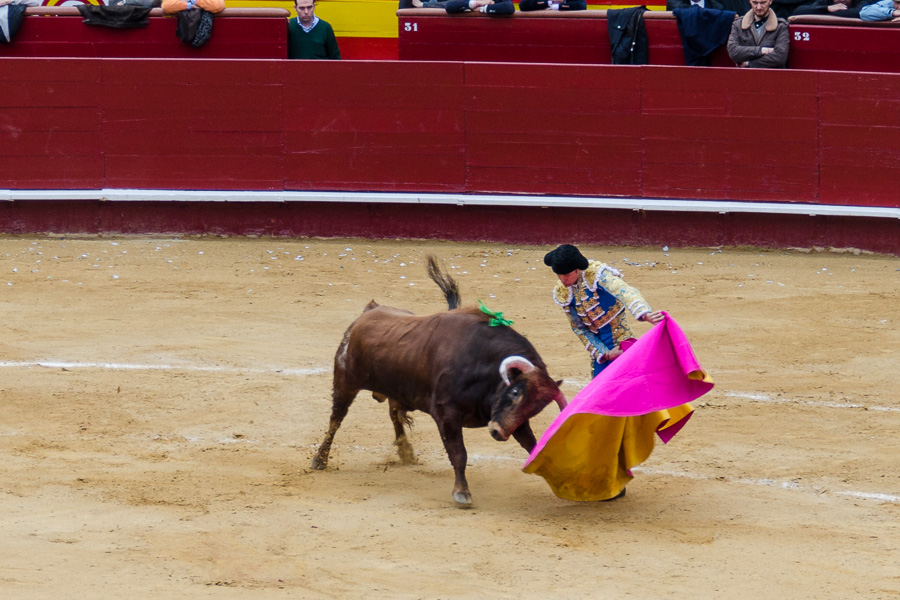 Stierkampf in Valencia