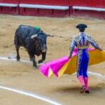 Stierkampf in Valencia, Corrida, Corrida de Toros, Matador, Spanien, Stier, Stierkampf, Stierkampfarena, Torero, Toro, Valencia