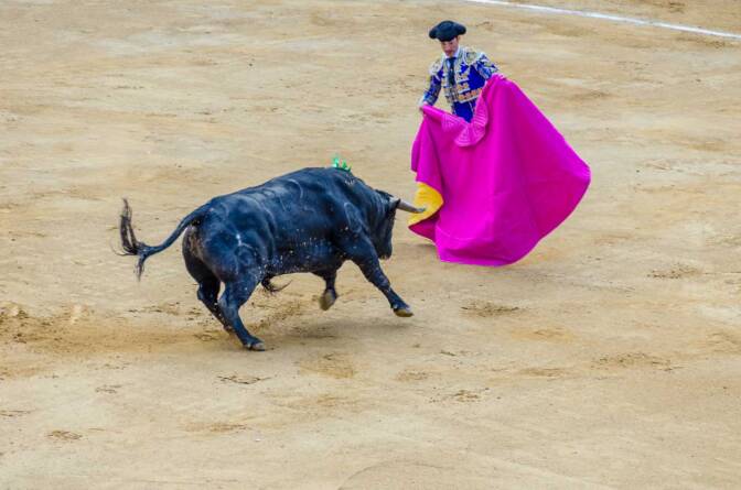 Der Stier sieht Rot