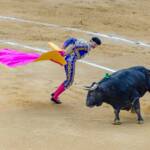 Stierkampf in Valencia, Corrida, Corrida de Toros, Matador, Spanien, Stier, Stierkampf, Stierkampfarena, Torero, Toro, Valencia, Wut