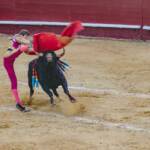 Stierkampf in Valencia, Corrida, Corrida de Toros, Matador, Mut, Rindvieh, Rot, Spanien, Stier, Stierkampf, Stierkampfarena, Torero, Toro, Valencia, waghalsig