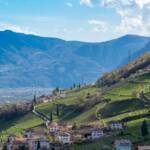 Blick nach Rungg/Tramin, Frühjahr, Frühling, Rungg, Termeno, Tramin