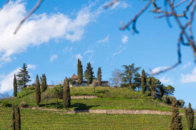 Blick auf den Weinberg Kastelaz - Frühling in Tramin