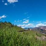 Höchster Kirchturm Tirols mit Kastelatz Weinberg, Gotteshaus, Gras, Gräser, Kirche, Pfarrkirche, Termeno, Tramin, Weinberg, Weinberge, blauer Himmel, chiesa, church, erba, erbe, vigna, vigneto, vineyard