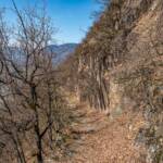 Leiferer Höhenweg, Höhenweg, Laub, Leiferer Höhenweg, Pfad, Steig, path