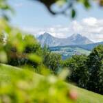 Ifinger und Mölten, Alto Adige, Hirzer, Ifinger, Ivigna, Mölten, Punta Cervina, South Tyrol, Sudtirol, Sudtirolo, Suedtirol, Südtirol