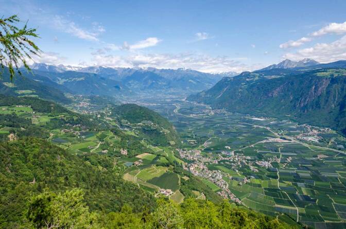 Blick nach Nals, Tisens und Meran mit Texelgruppe