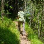 Wandern, Waldsteig, wandern