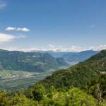 Schlern und Rosengarten, Catinaccio, Dolomitenblick, Rosengarten, Rosengartengruppe, Terlan, Tschöggelberg, Tschögglberg