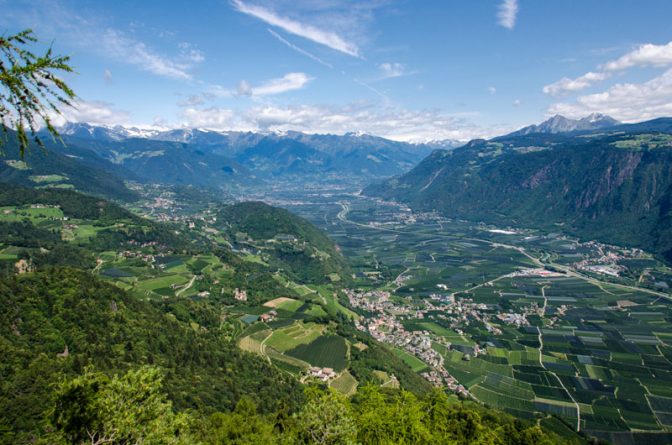 Blick nach Nals, Tisens und Meran mit Texelgruppe