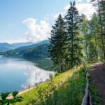 Altopiano di Pinè – Lago di Serraia, Altopiano di Pinè, Lago di Serraia, Pine, Pinè, See, Val di Pinè, Valle di Pinè, Wanderweg, lago, lake, sentiero