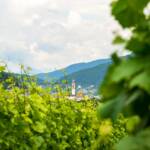 Faver im Cembratal, Cembratal, Faver, Kirchturm, Val di Cembra, campanile