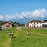 Hirzer Hütte, Alm, Hirzeralm, Hirzerhütte, Matte, Weide