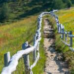 Wanderweg mit Holzzaun, Almenweg, Hirzeralm, Holzzaun, Wanderweg, Weg, Zaun, cammino, sentiero, way
