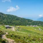 Hirzer Alm, Alm, Hirzeralm, Matte, Weide