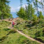 Almweg am Hirzer, Almenweg, Andreas, Wanderer, Wanderweg, sentiero, wandern