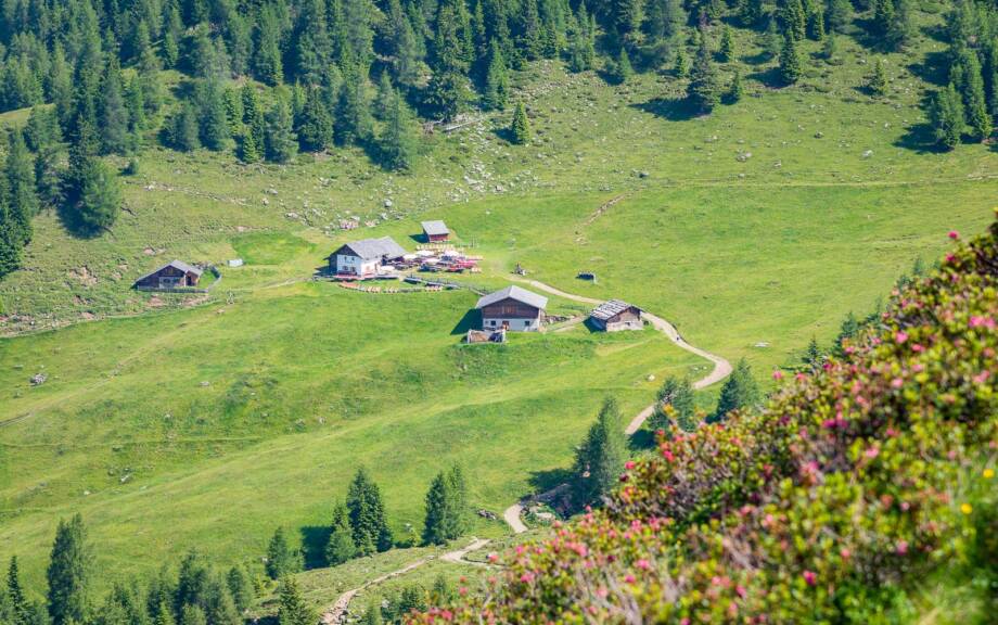 Mahdalm unterm Hirzer