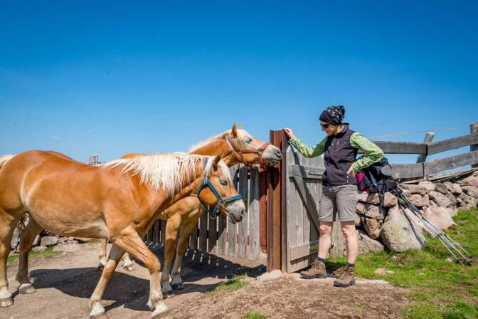 Eine Begegnung, die Freude bereitet.
