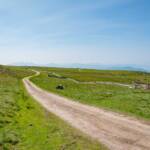 Wanderung Rittner Horn, Almweg, Bike, Fahrrad, Rad, Rad fahren, Rittner Horn