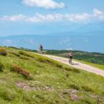 Mountainbiker am Rittner Horn, Almweg, Bike, Biker, Fahrrad, Mountainbike, Mountainbiker, Rad, Rad fahren, Rittner Horn