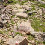 Wanderung Rittner Horn Sarner Scharte, Markierung, Steig