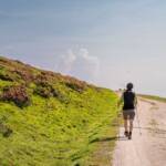 Wanderung Rittner Horn Sarner Scharte, Rittner Horn, Wanderer, wandern