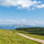 Wanderung Rittner Horn Sarner Scharte, Dolomiten, Langkofel, Latemar, Plattkofel, Rittner Horn, Sass Plat, Sasso Lungo, Sasso Piatto, Schlern, Schlerngebiet, Schlernmassiv, Schlernspitzen, Sciliar, Unterhorn