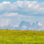 Wanderung Rittner Horn Sarner Scharte, Dolomiten, Langkofel, Plattkofel, Sass Plat, Sasso Lungo, Sasso Piatto, Sella, Sella Gruppe, Sella Massiv, Sellagruppe, Sellastock