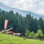 Lahneralm, Alm, Laneralm, Matte, Tiroler Fahne, Weide