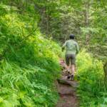 wandern, Steig, wandern